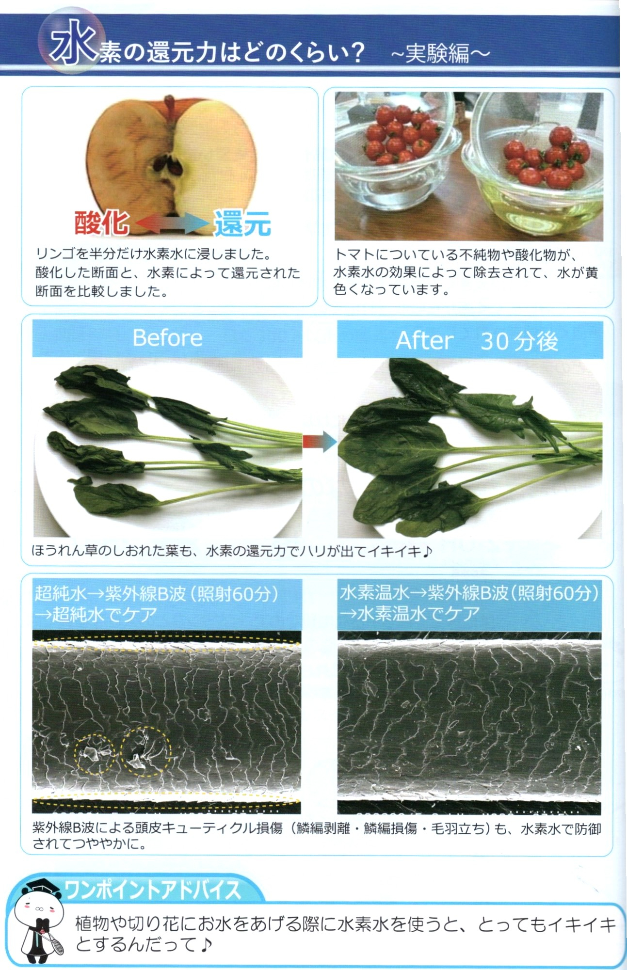 水素風呂効能.jpg