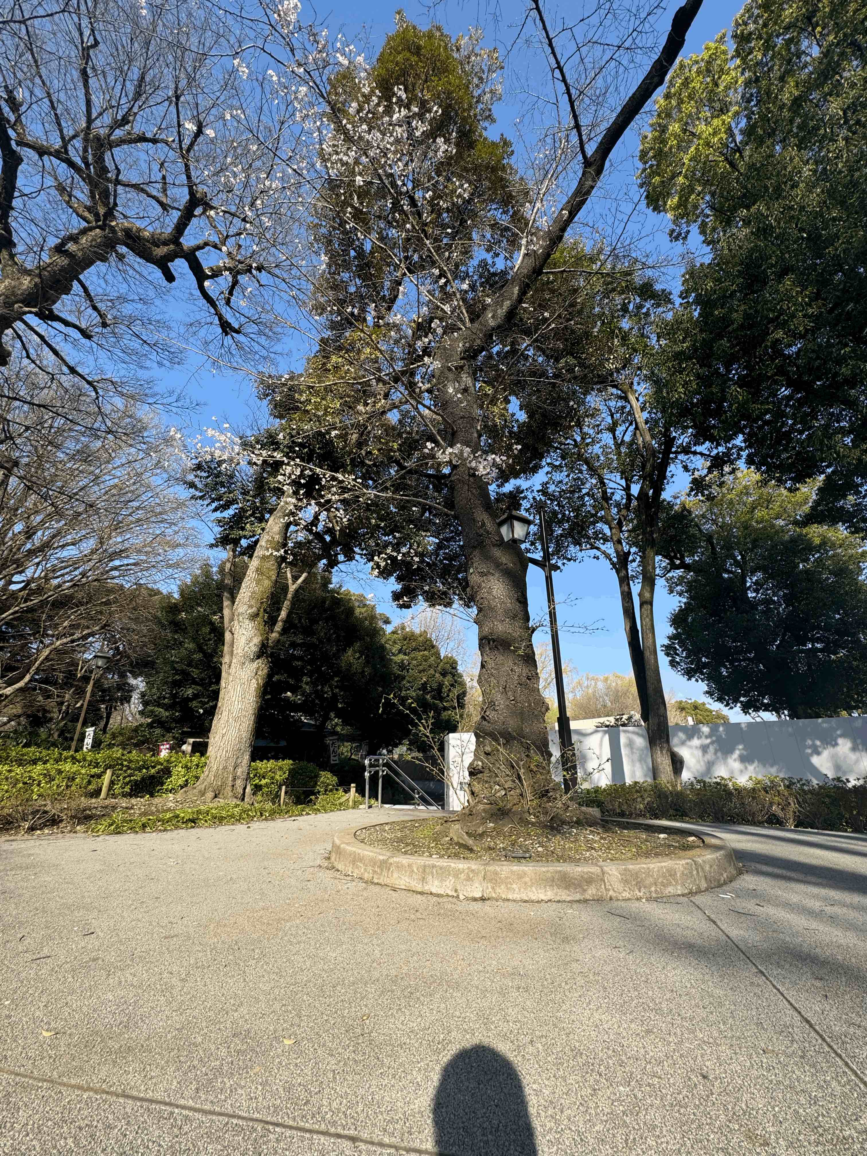 tempImage7o8Bl8.gif