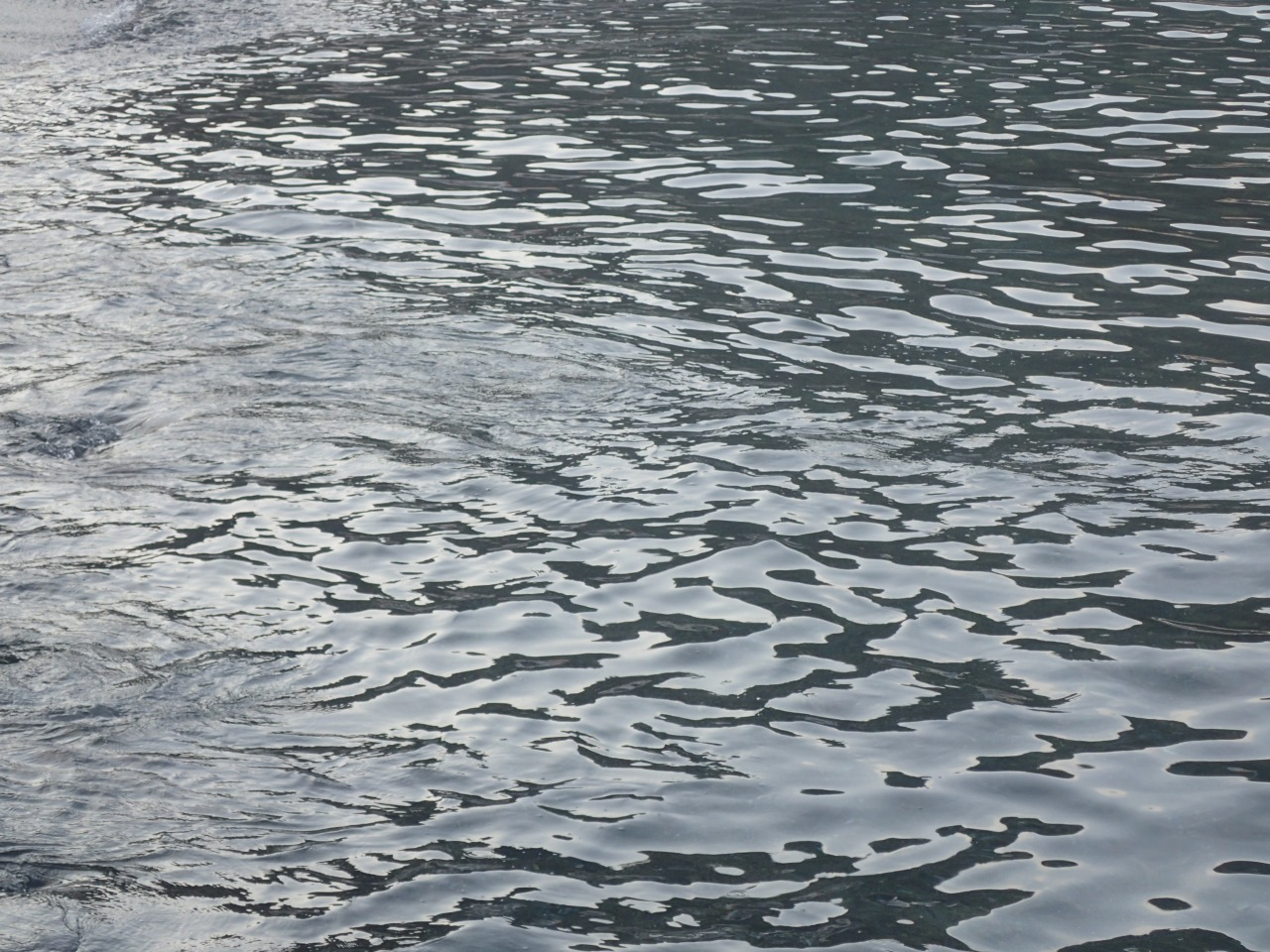 P8110557.JPG