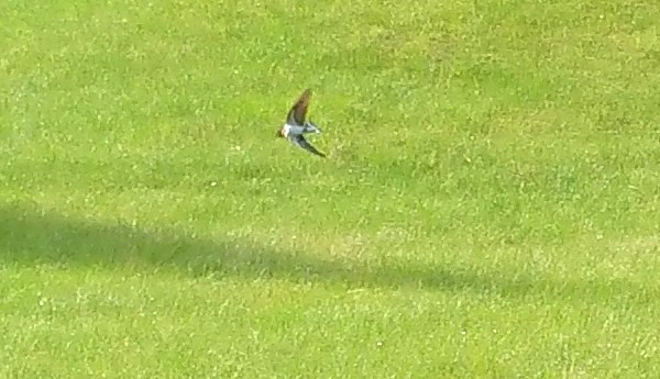 _20230609_073723.JPG