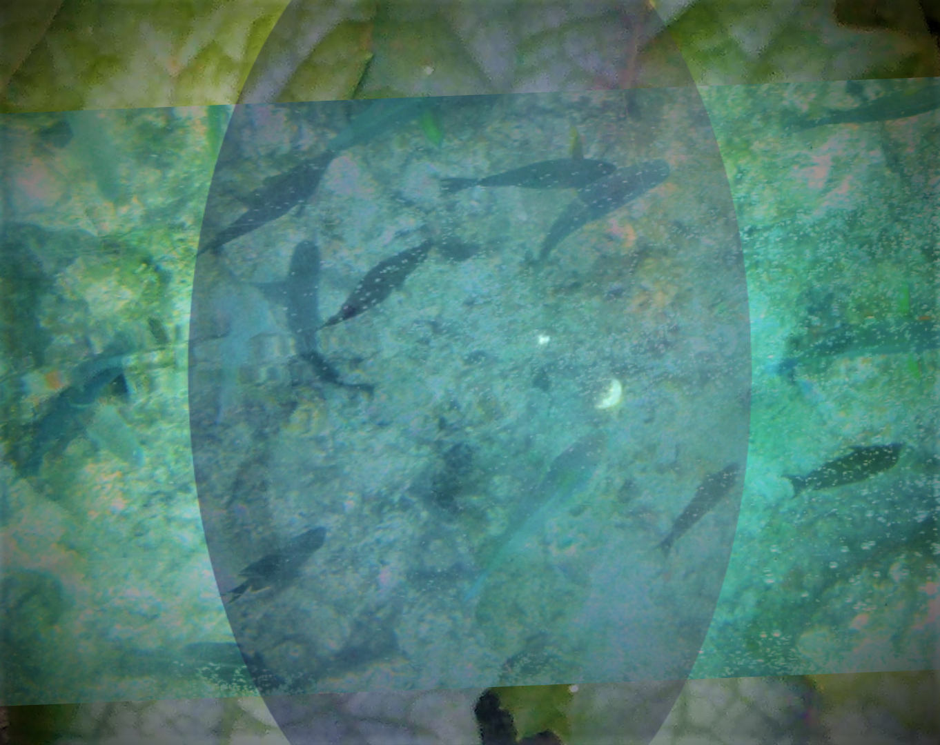 sketch-1638081843281 (2).png