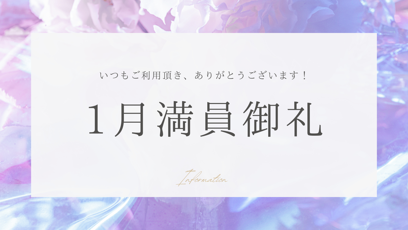 紫　綺麗　Twitter投稿.png