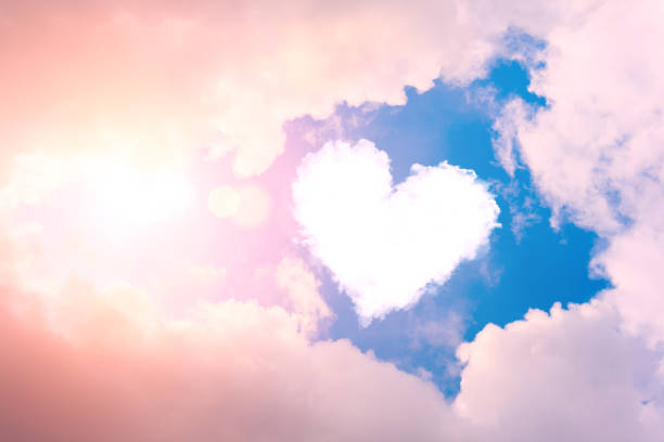 istockphoto-1097779446-612x612.jpg