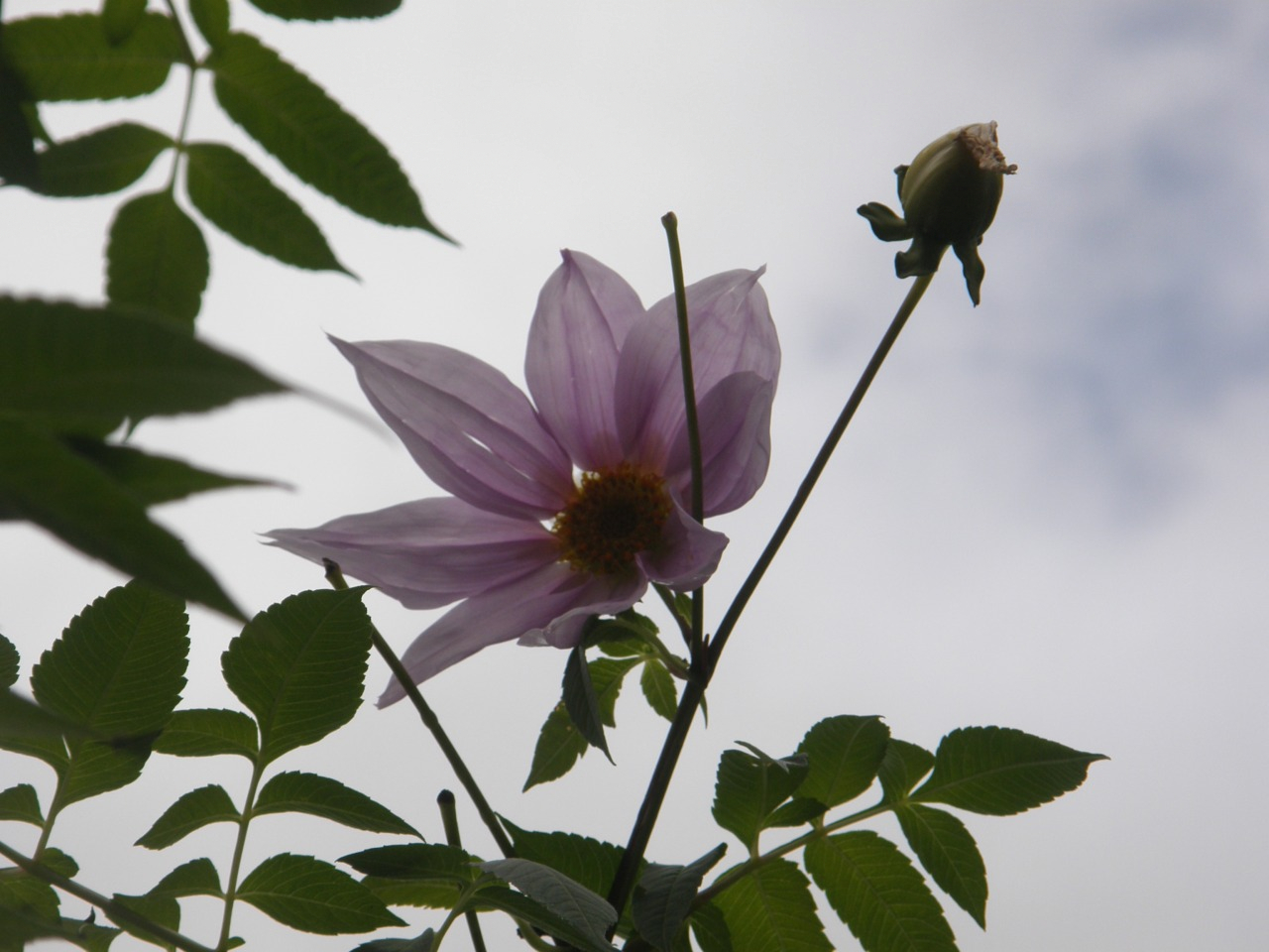 PC200028.JPG