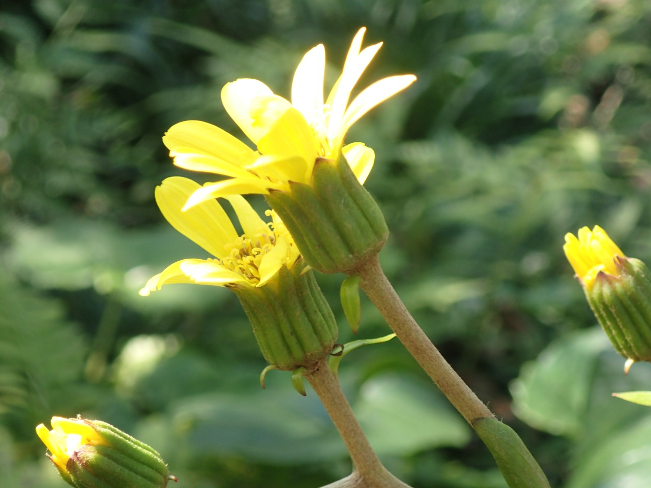 PB160623.JPG