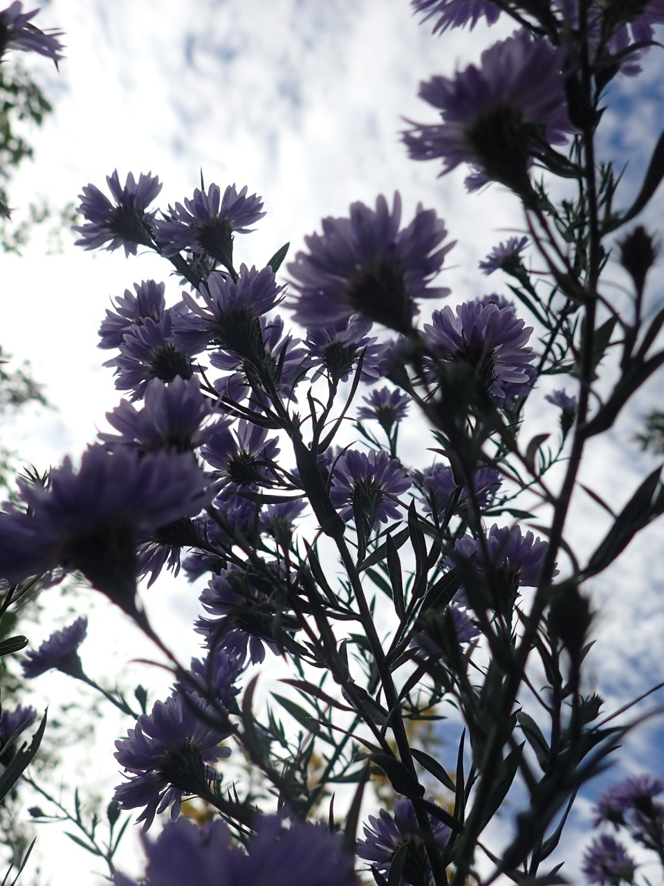 PB010198.JPG