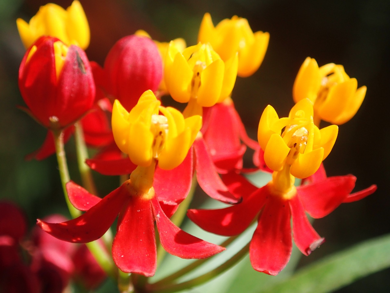 PA120710.JPG
