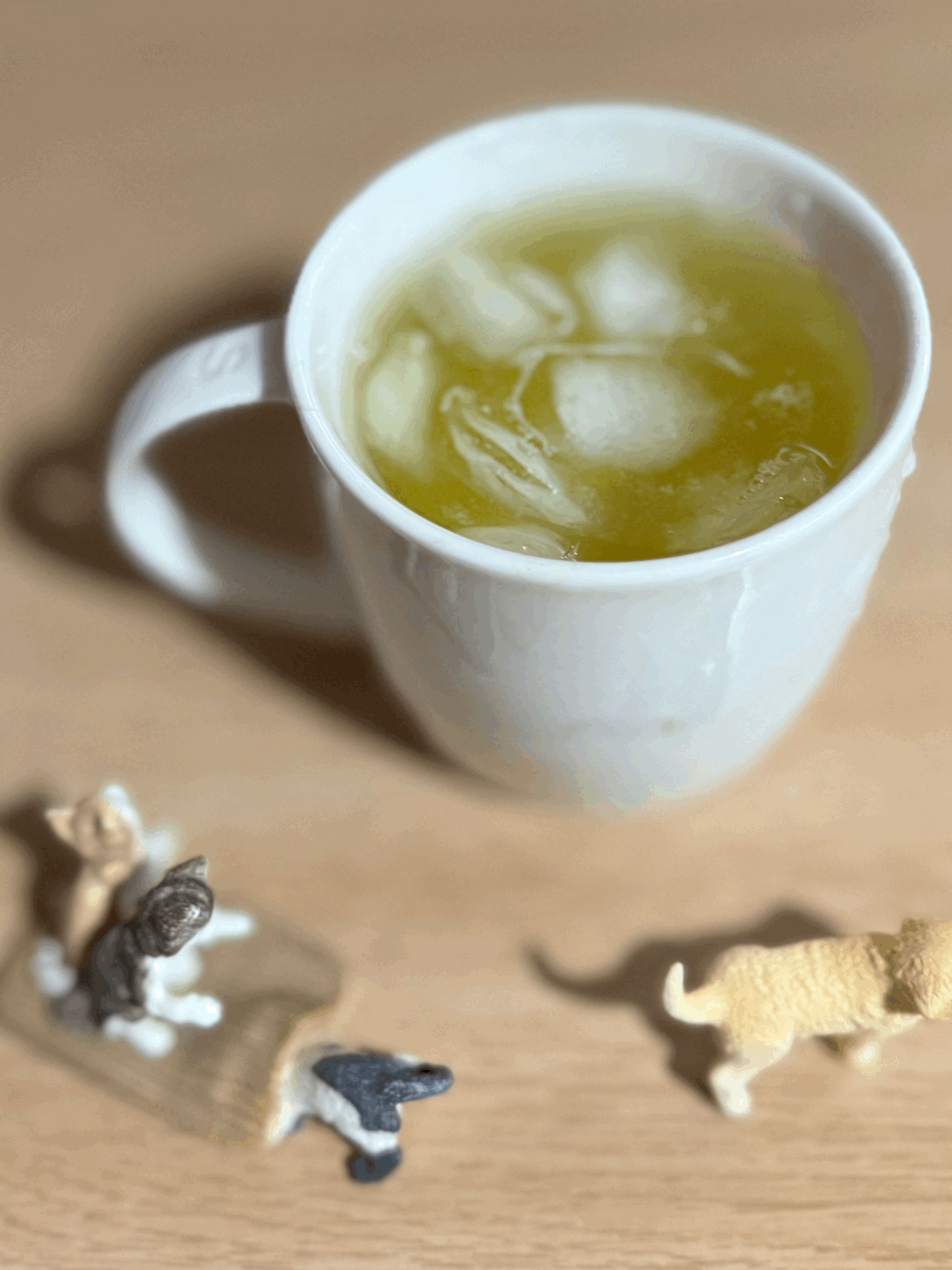tempImageCJm5Di.gif
