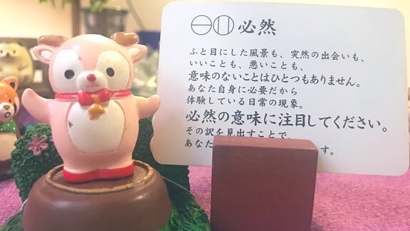 S__14319624.jpg