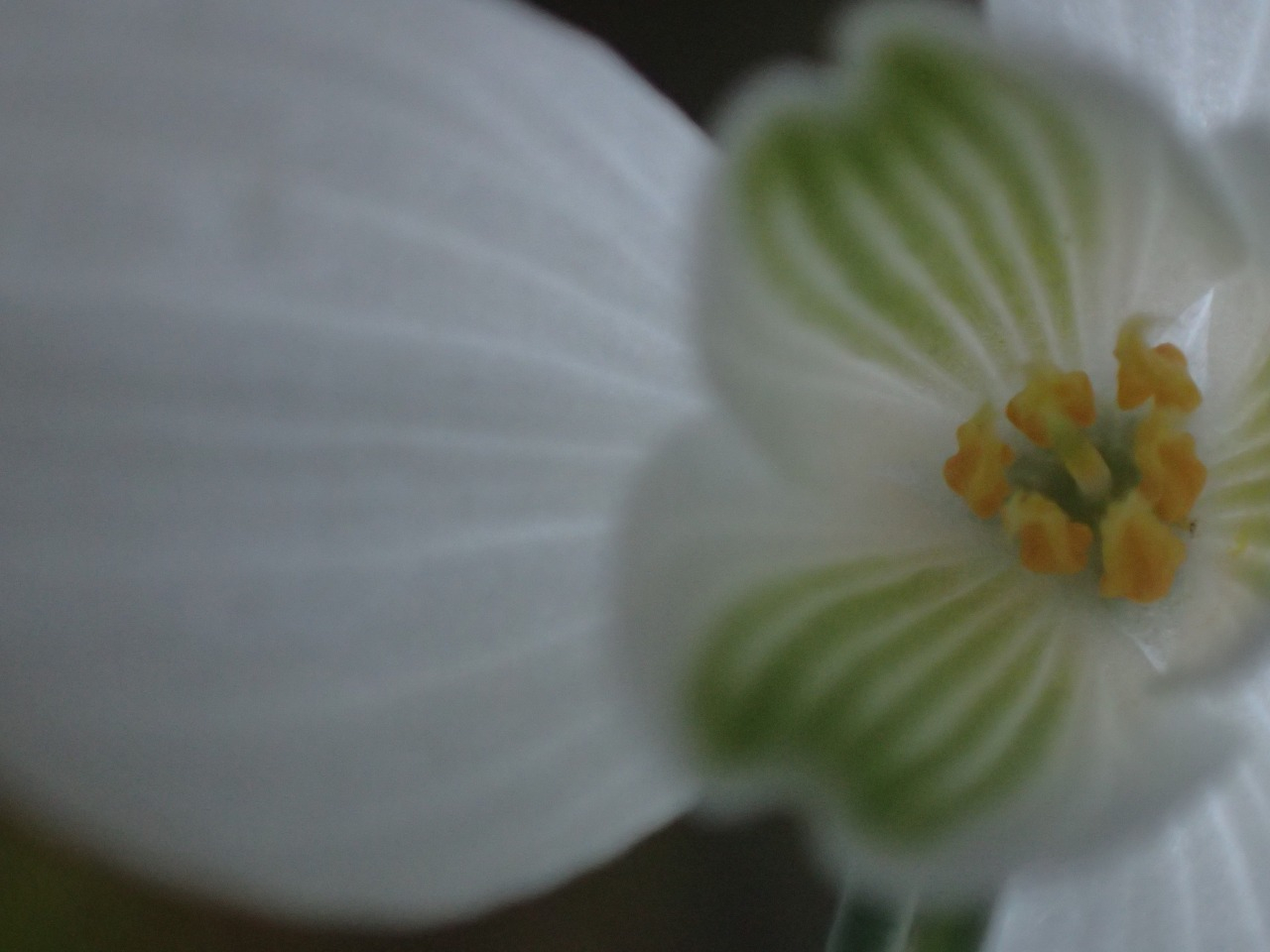 PB160275.JPG