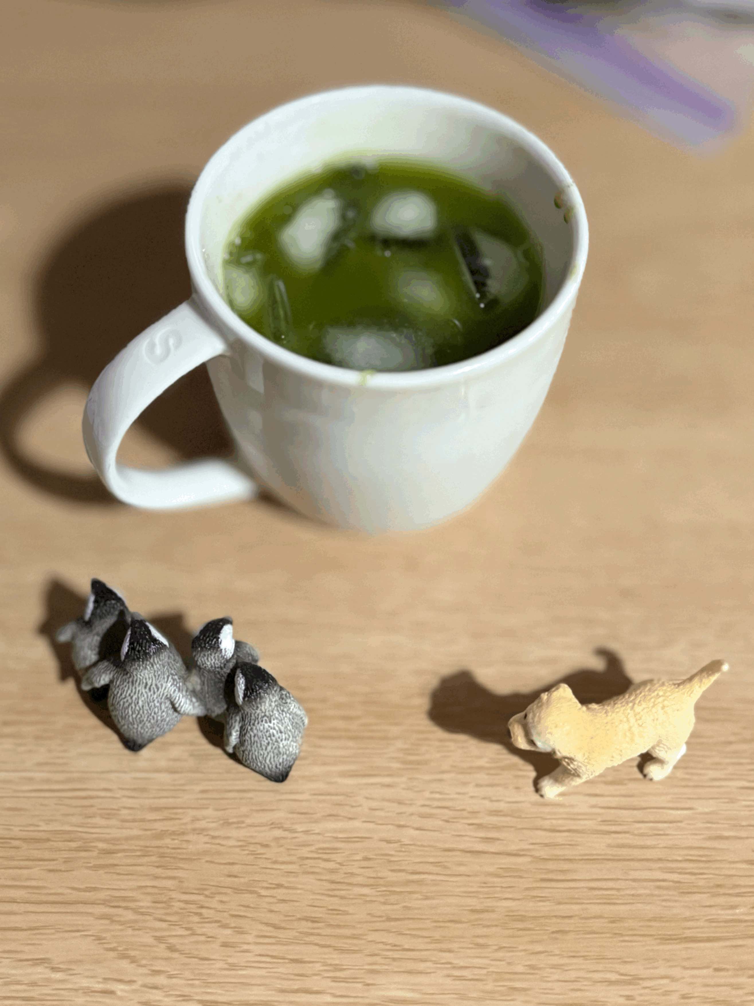 tempImagek8EwcP.gif