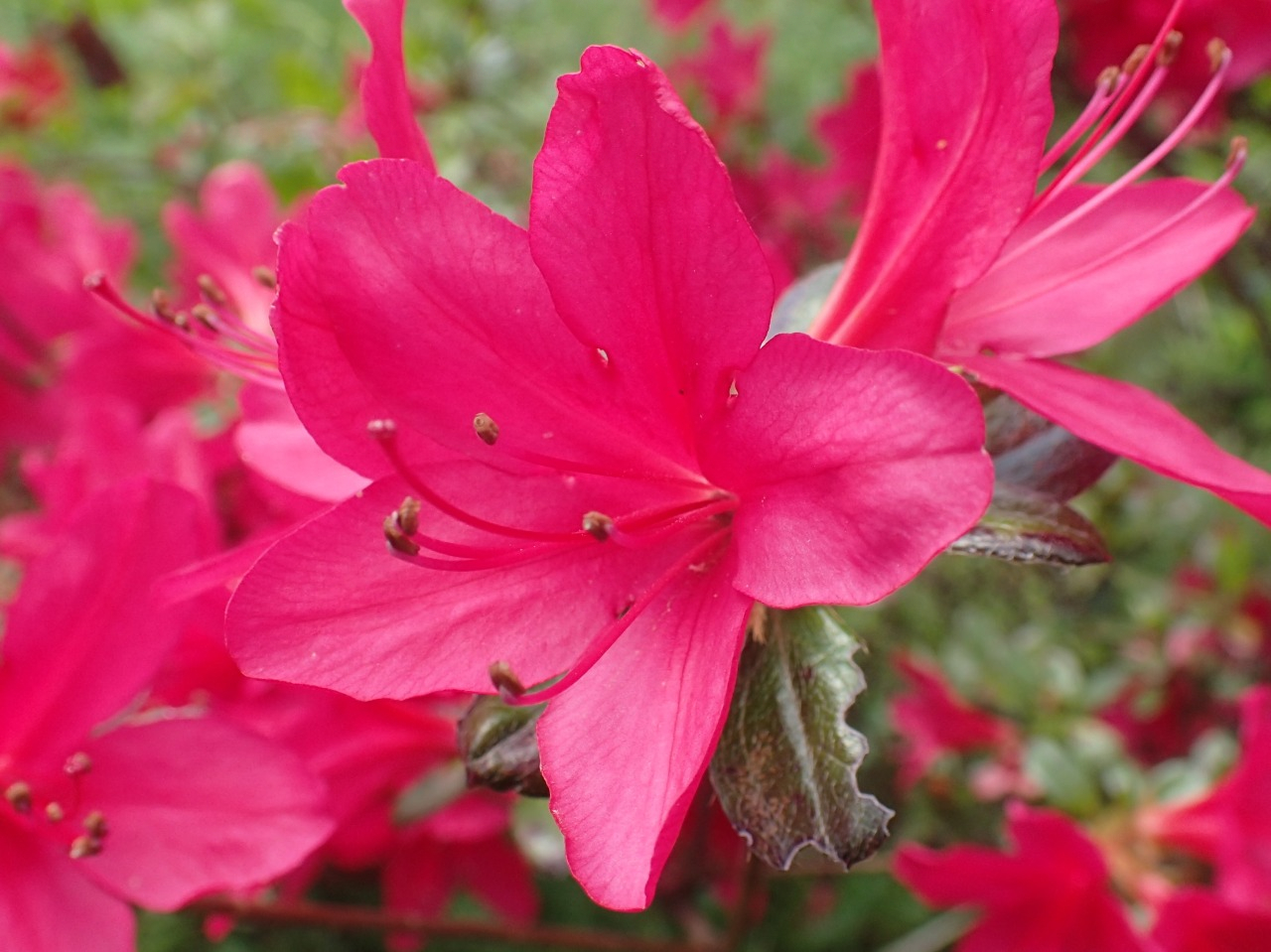 P4160242.JPG
