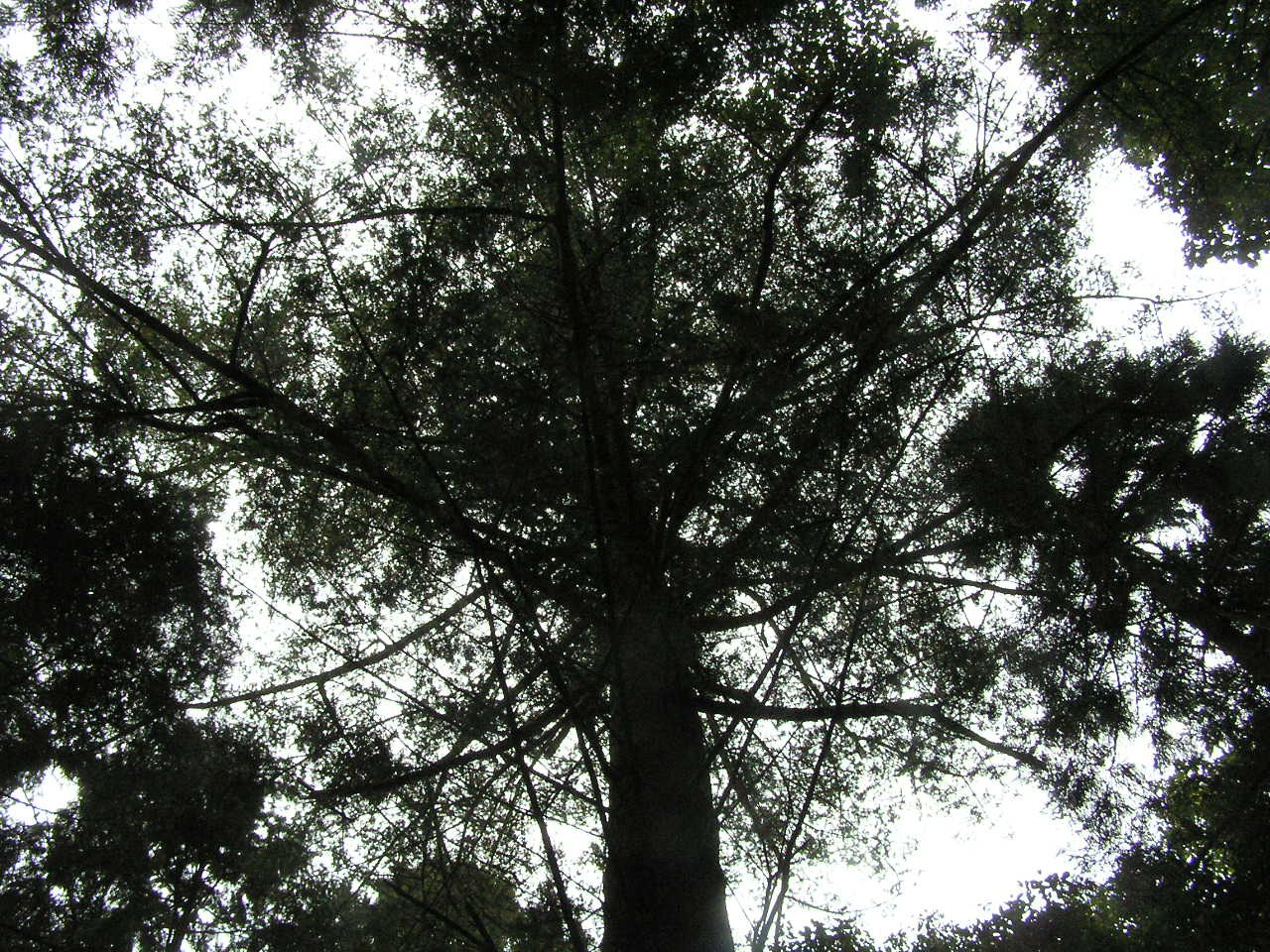 PA260216.JPG