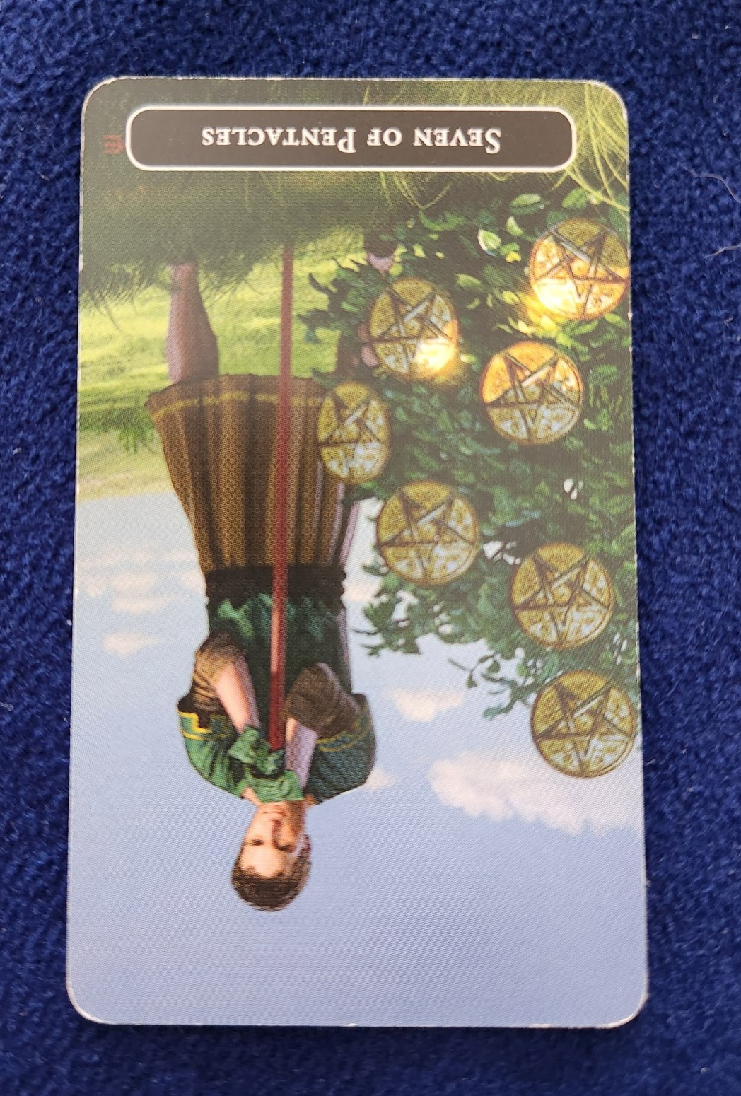 20231022_110648 (002).jpg