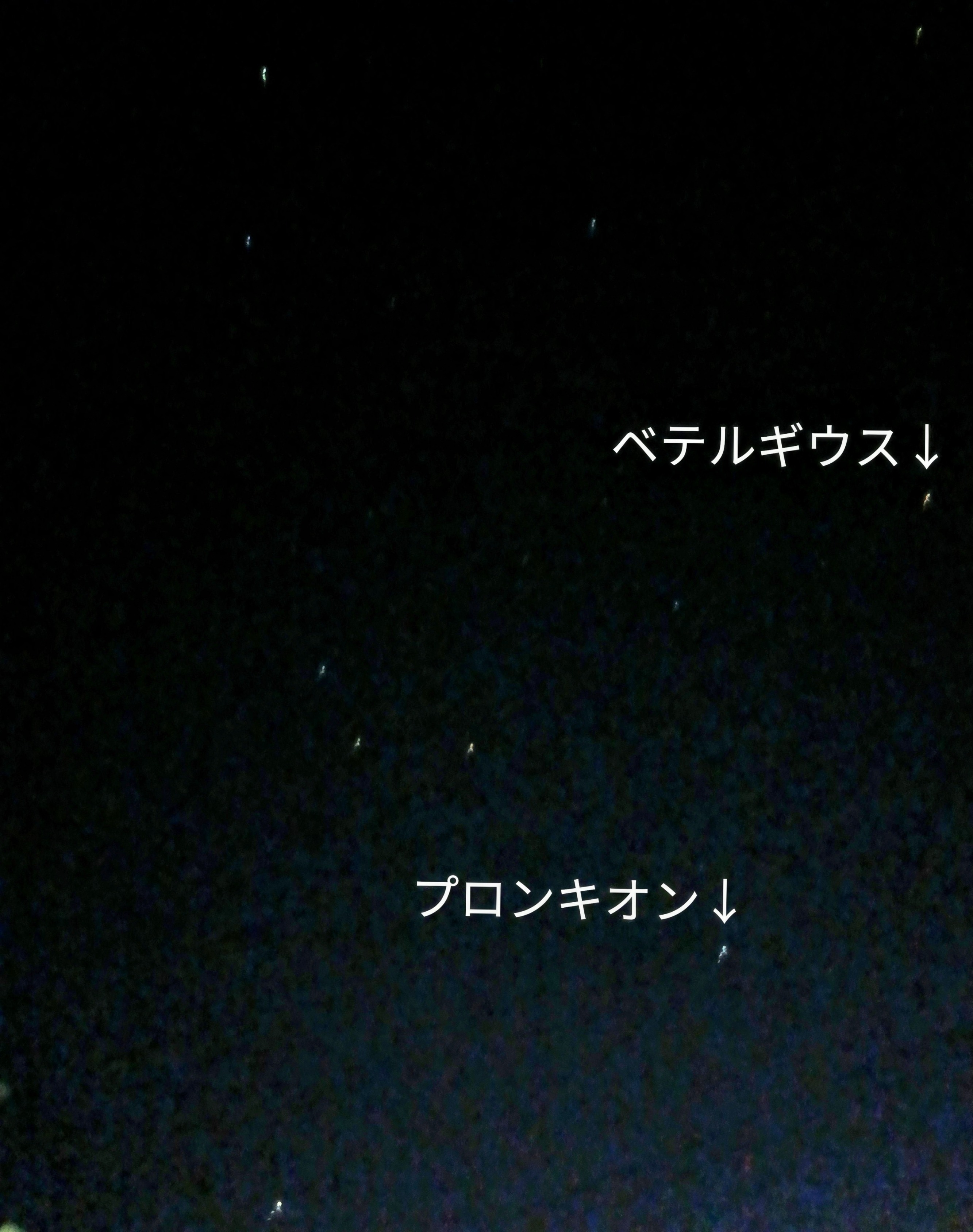ごまいめ、あきふゆ.png