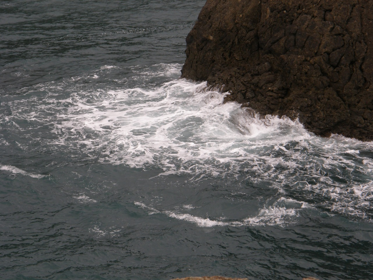 P4150161.JPG