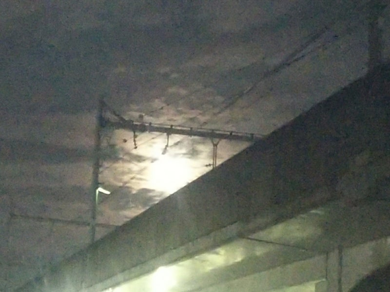 フラワームーン.jpg