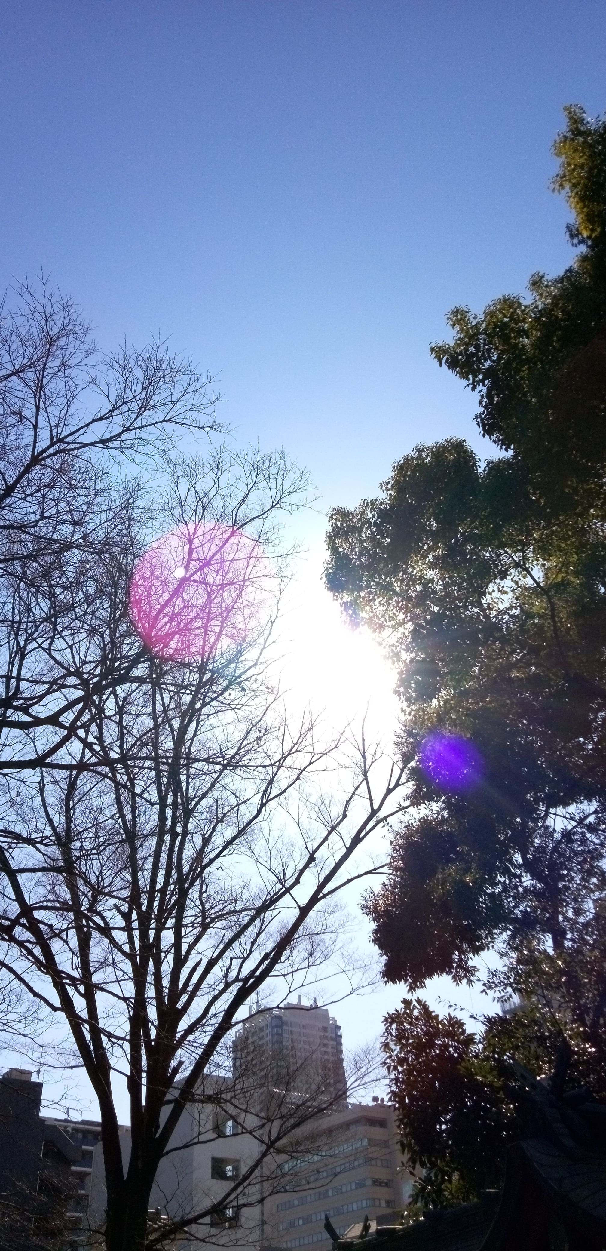 オーブ02.22.JPG