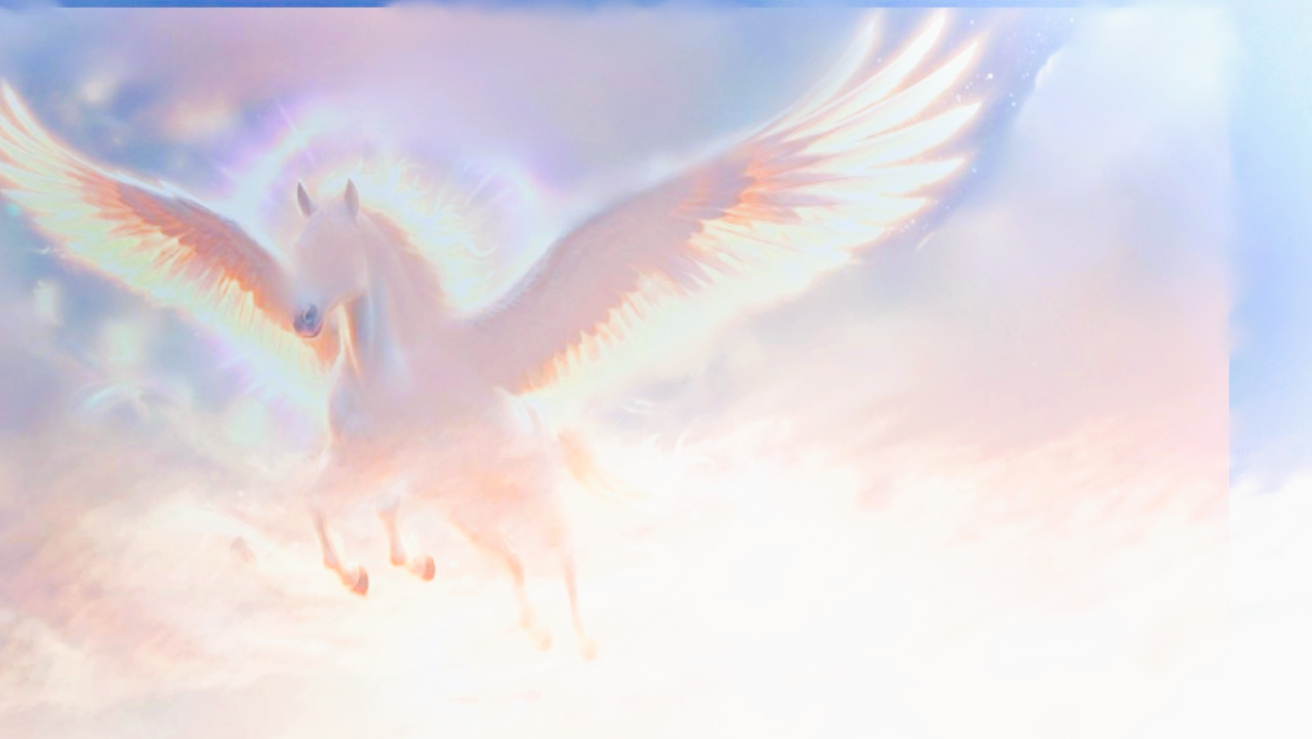 sketch-1774059861428oi.png