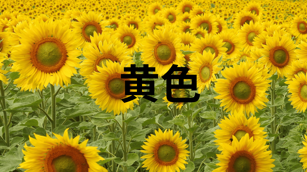 見出しを追加 (48).png