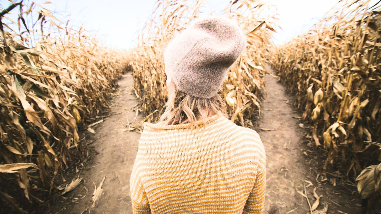 初心者Webライター 収入を倍増させる専門分野の作り方 5ステップ.jpg