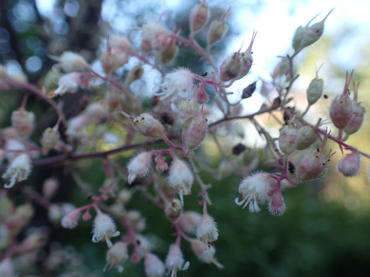 PB010923.JPG