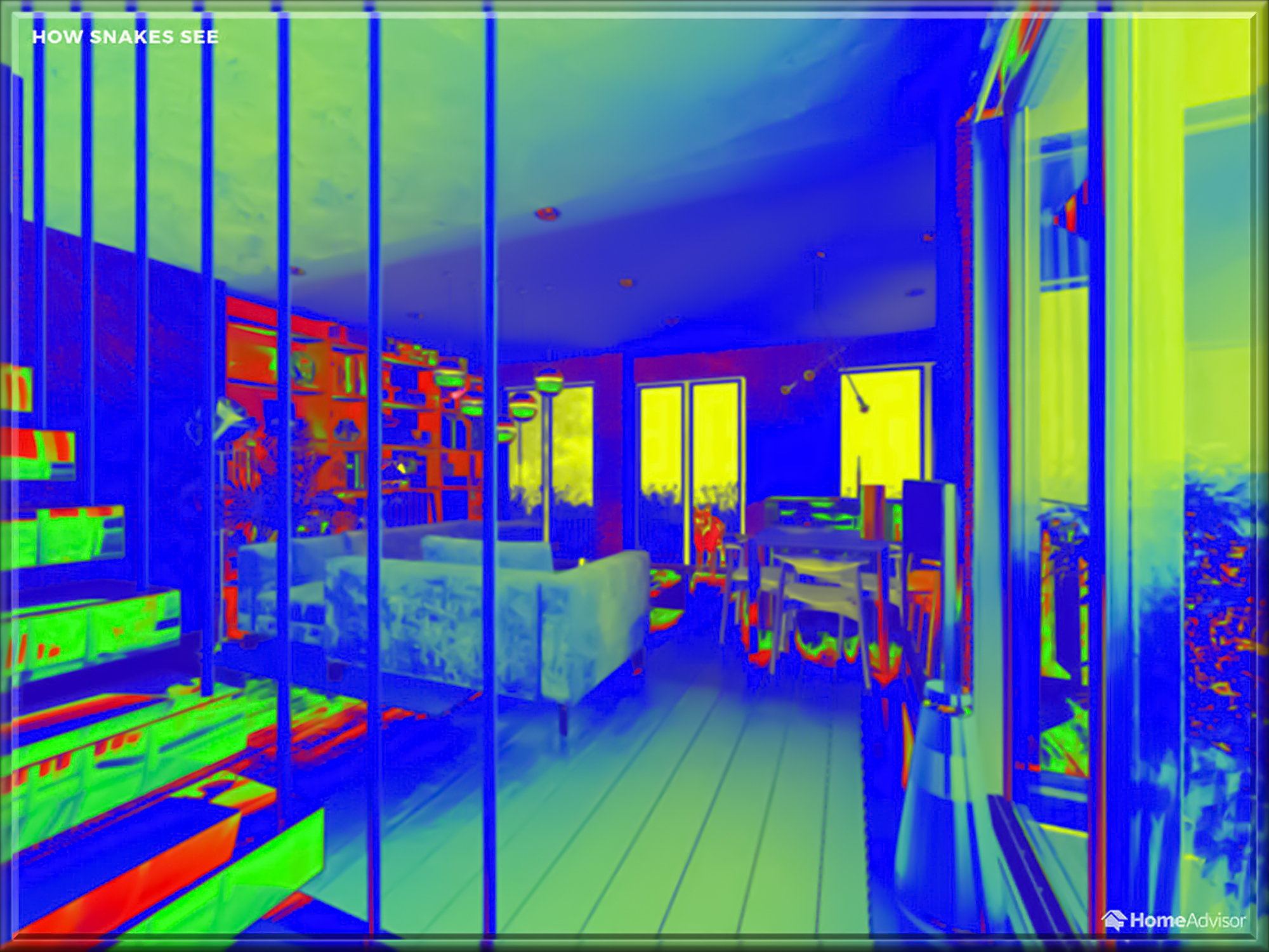 08_How-Snakes-See-5fff7ea11d668__880.jpg