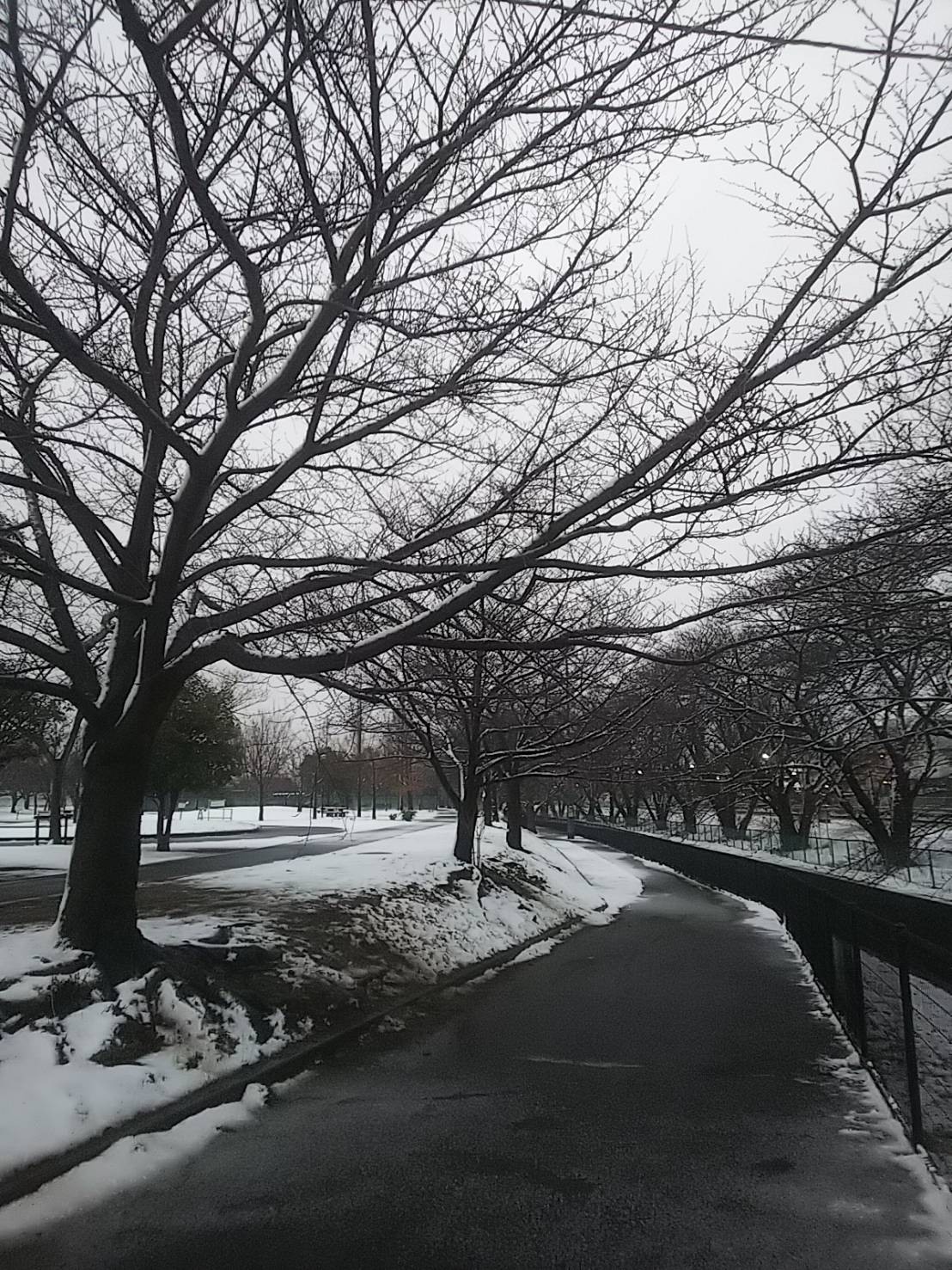 2023年雪10.jpg