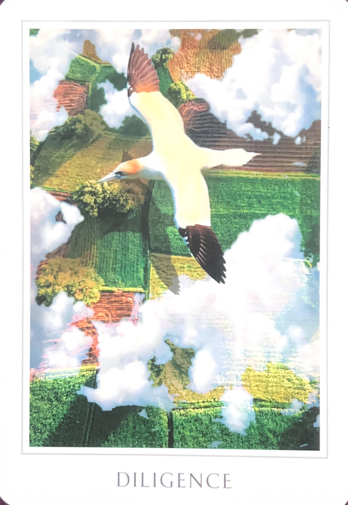 DILIGENCE.jpg