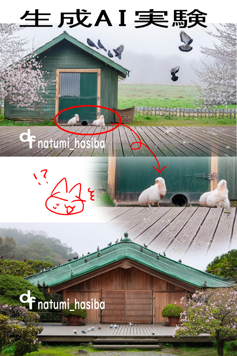 実験１.jpg