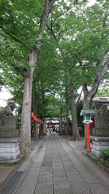 DSC_1072_copy_774x1376.jpg