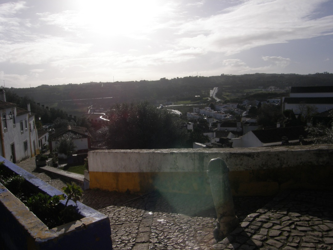 P1261531.JPG