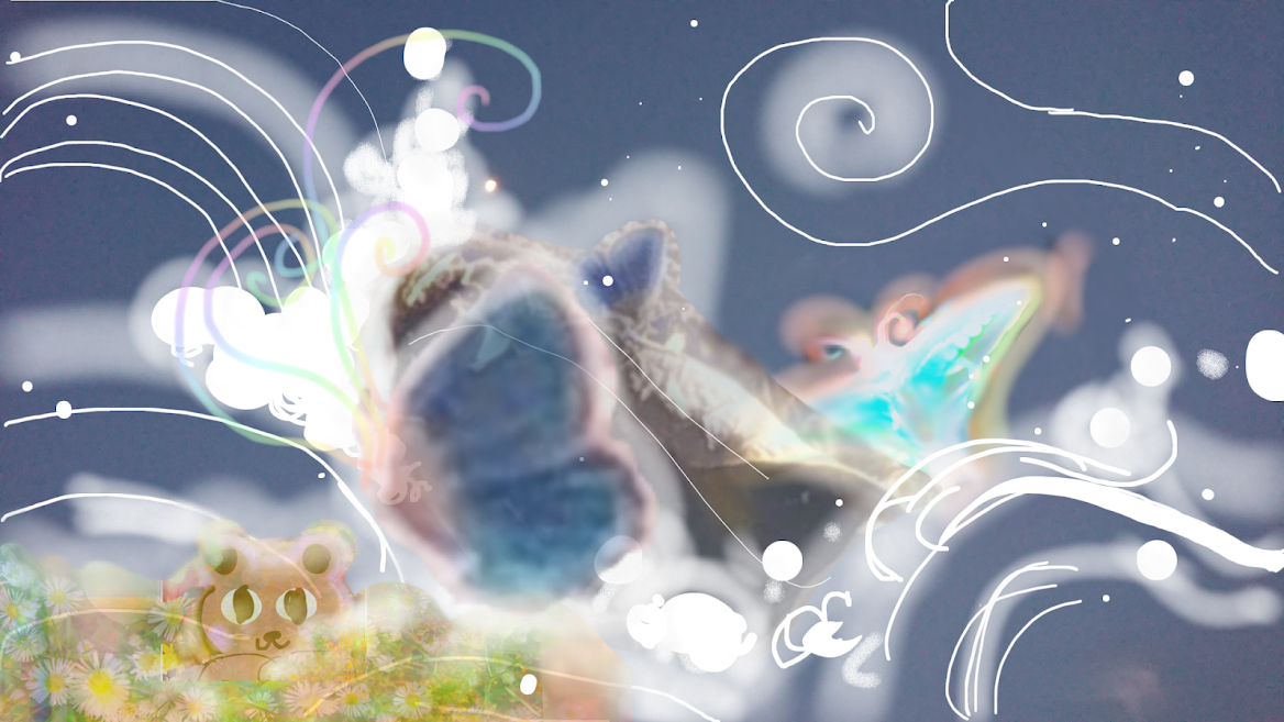 sketch-1668554868909.png