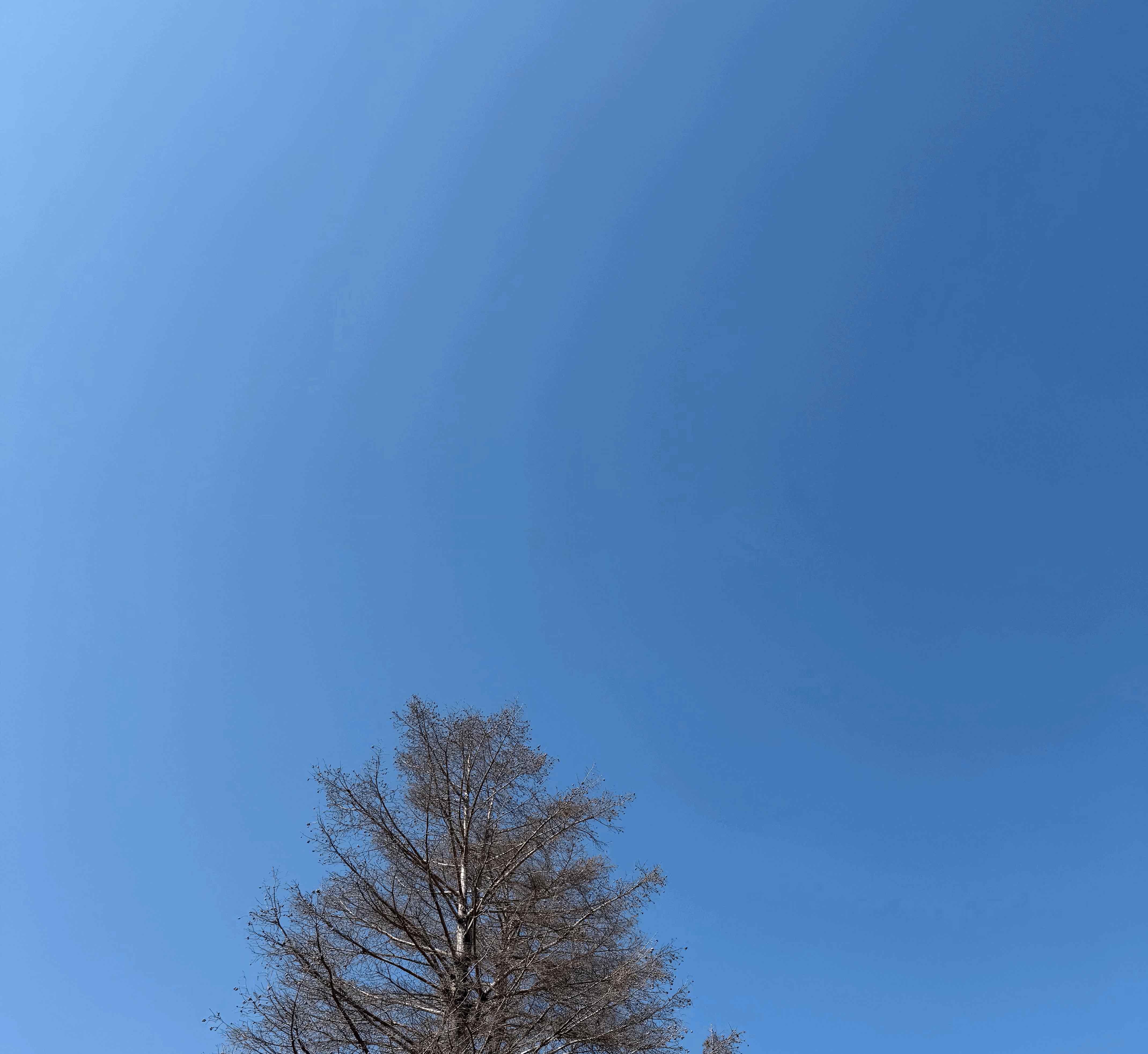 tempImageIRQHL9.gif