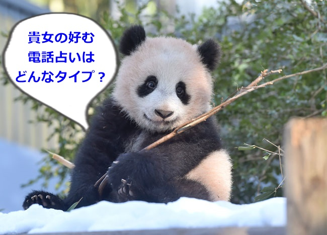 パンダ・シャンシャン２.jpg