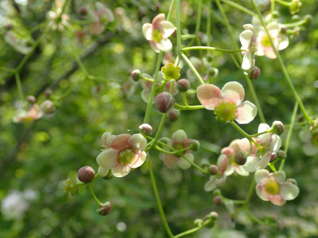 P4250413.JPG