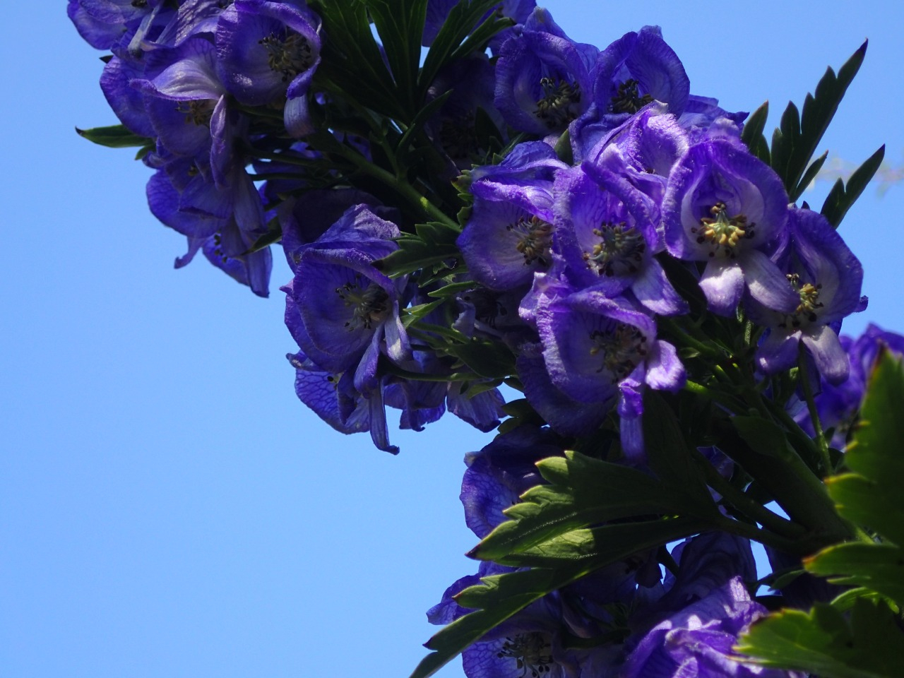 PB160168.JPG