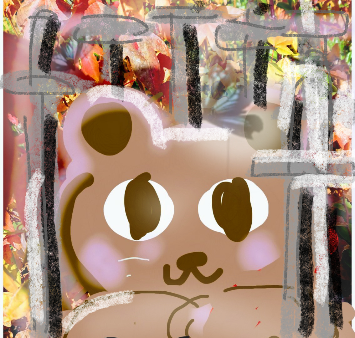 sketch-1784424569014.png