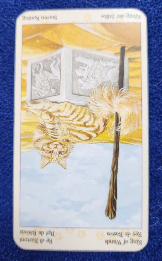 20230822_092101 (002).jpg