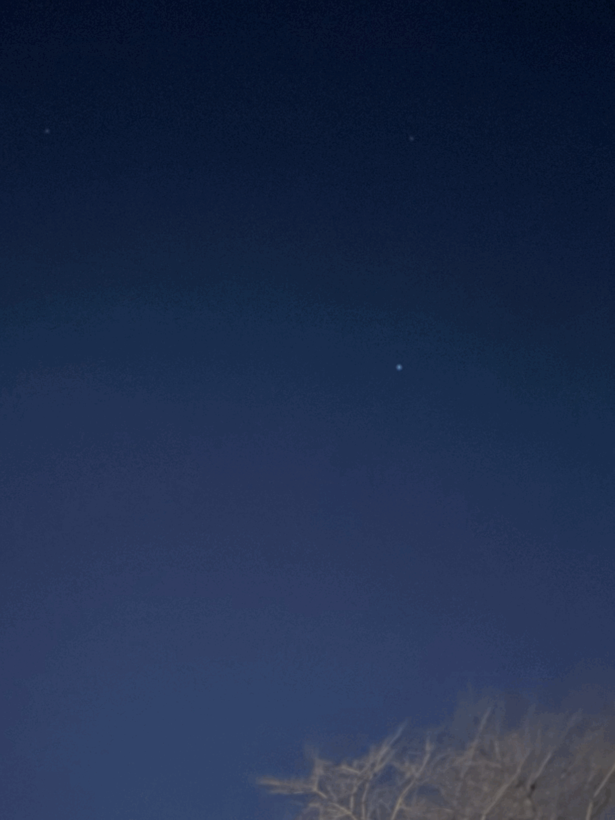 tempImagexlVt57.gif