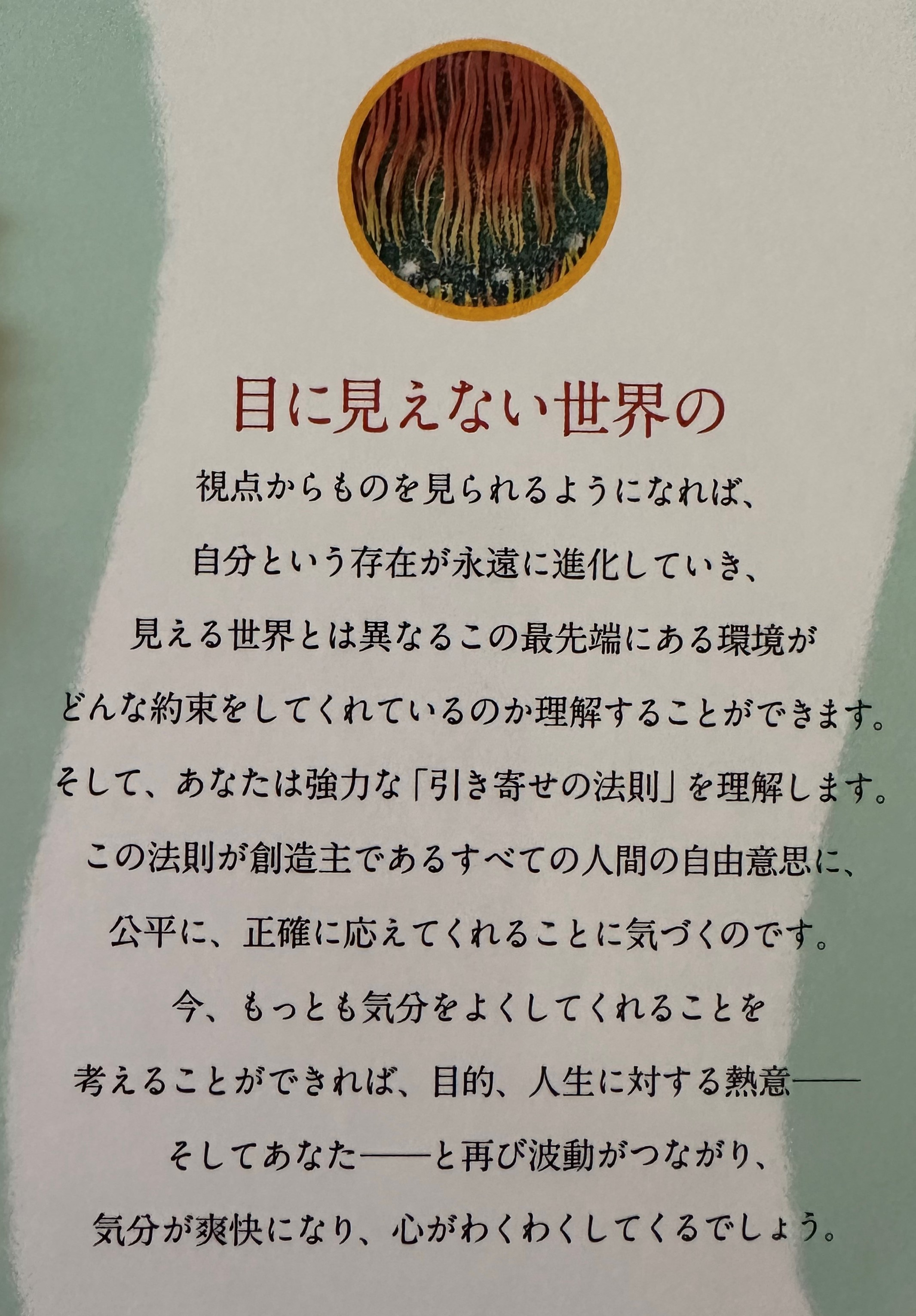 IMG-9650.jpg