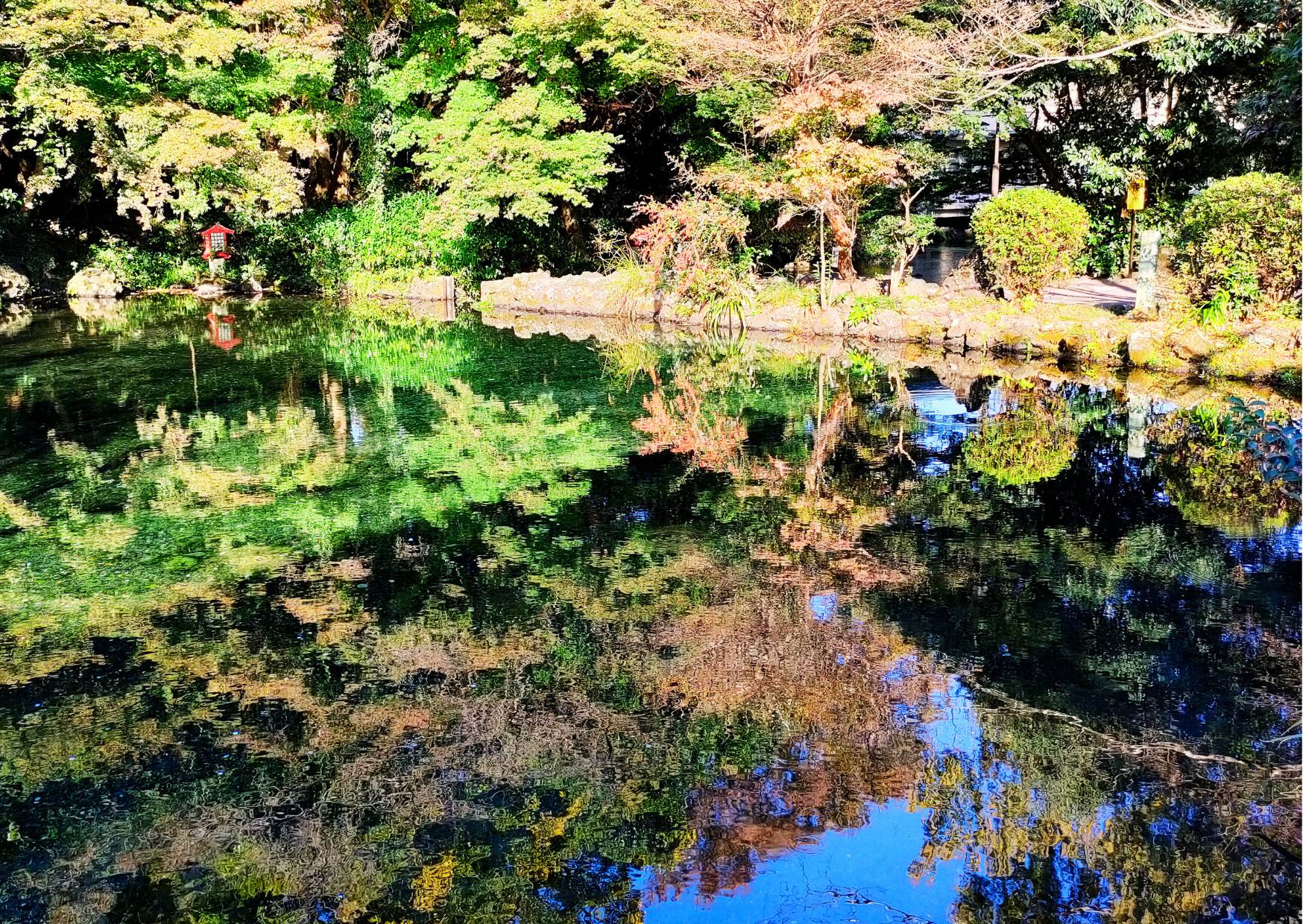 名称未設定のデザイン - 2023-12-05T121800.750.png