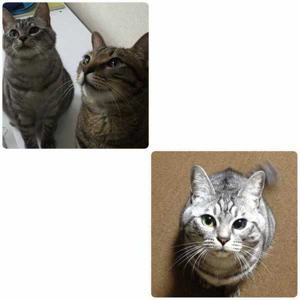 IMG_7690.png