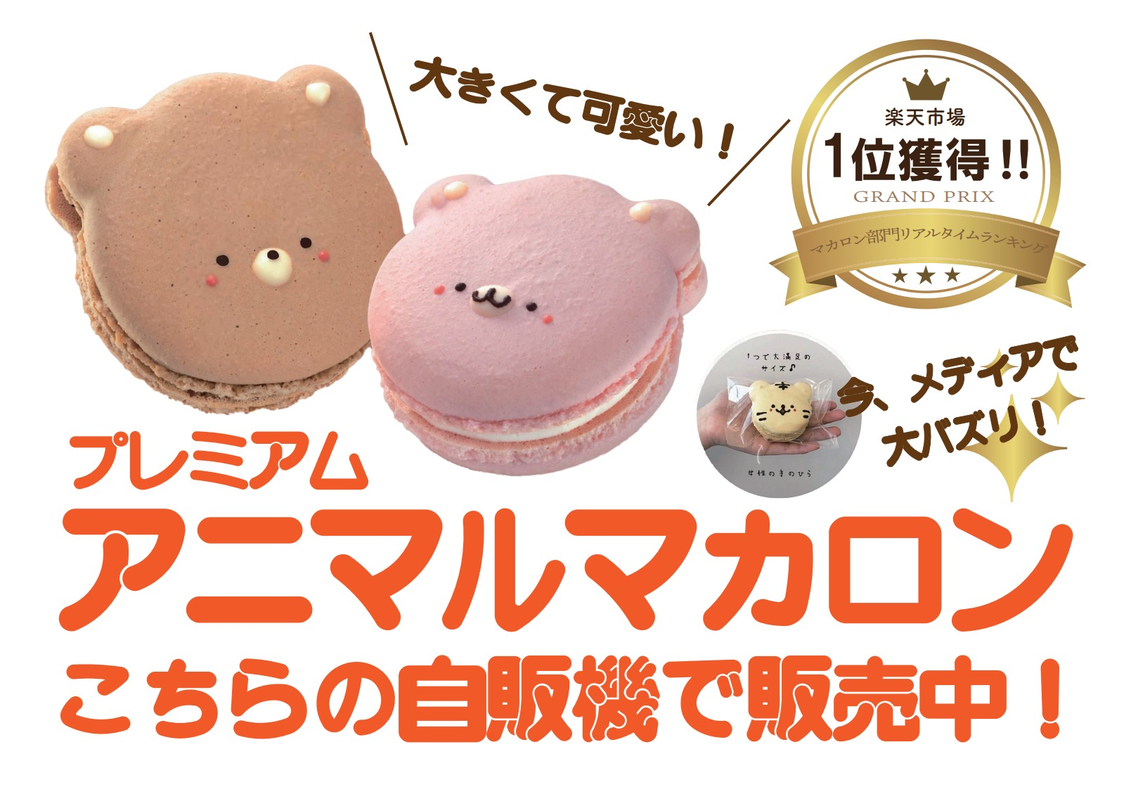 Web キャプチャ_16-8-2023_163441_.jpeg