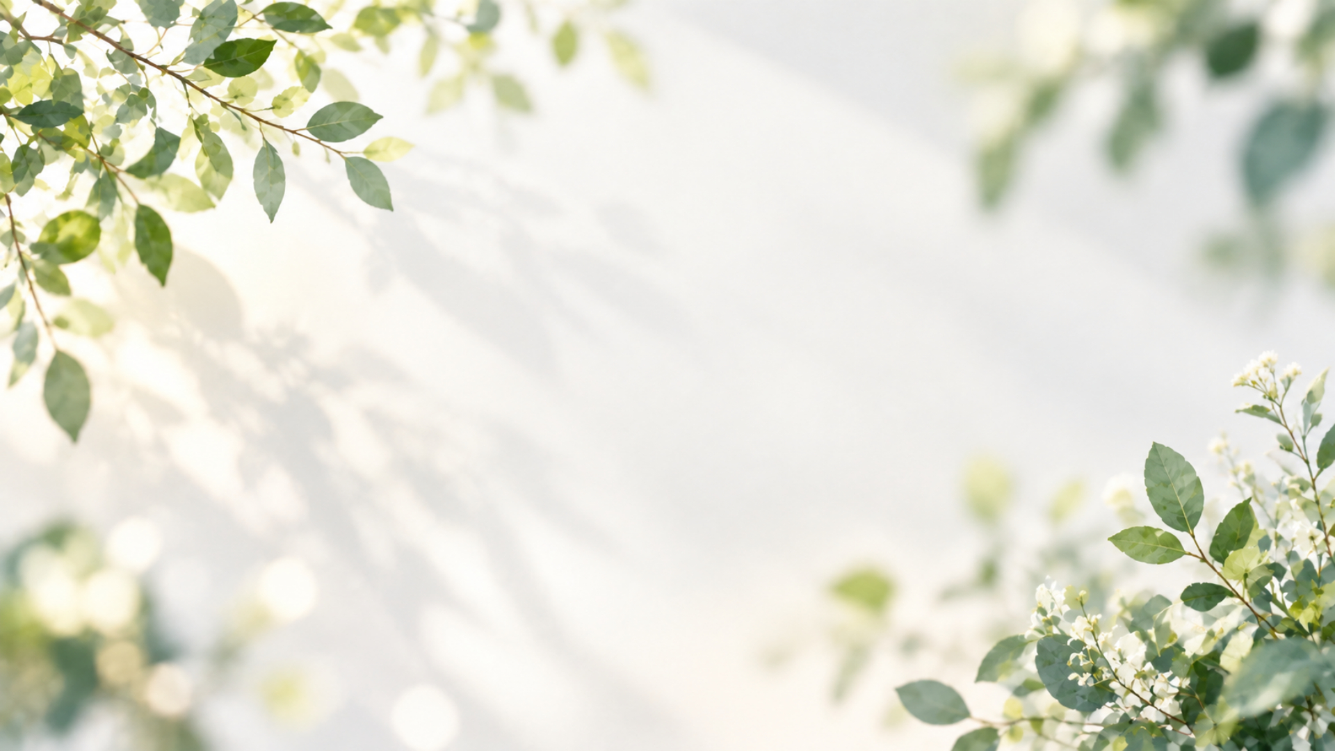 背景画像_花5_1920×1080.png