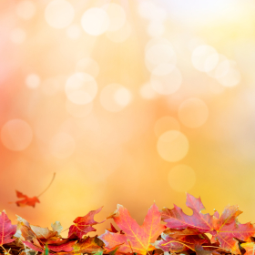 あなたの本当の望み (9).png