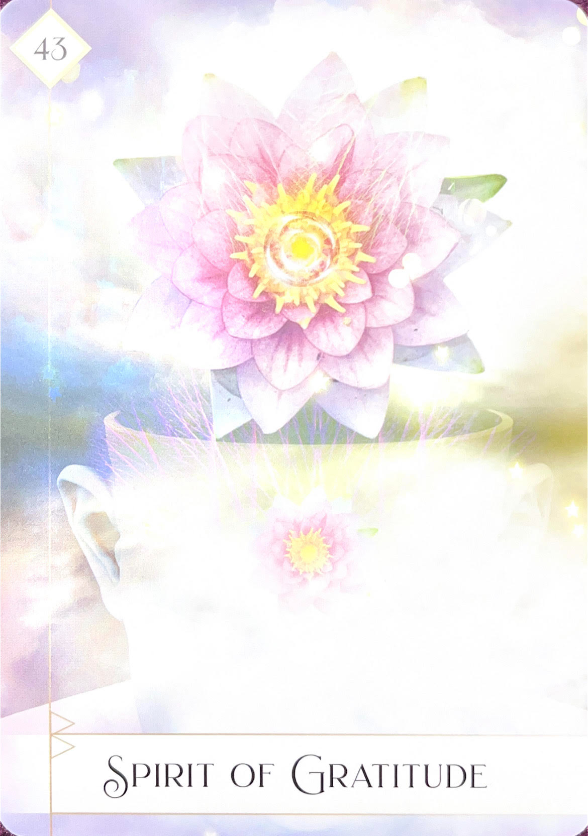 オラクルカード2023.8.8.jpg