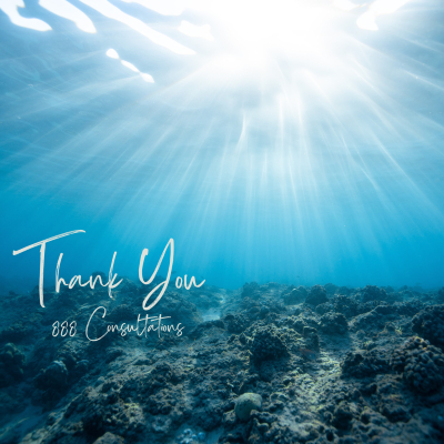 333 Consultations (4).png