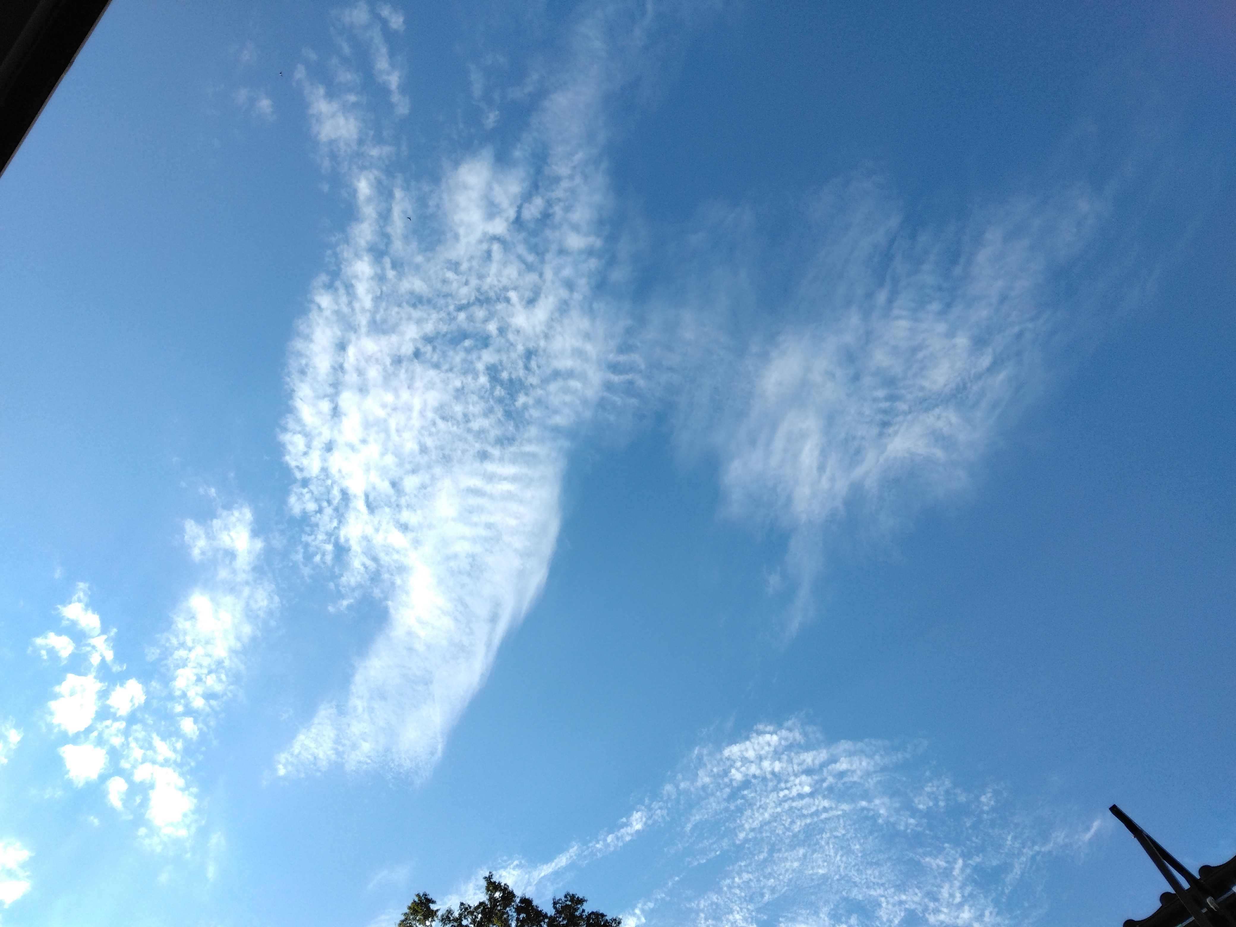 IMG_20250819_172703.jpg
