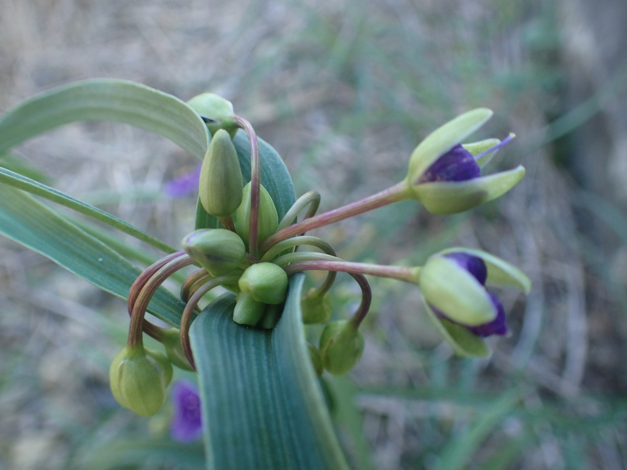 PA060354.JPG